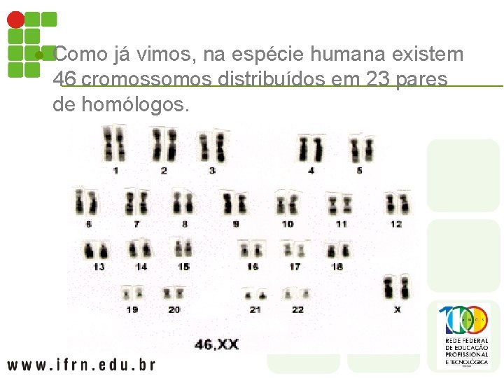 l Como já vimos, na espécie humana existem 46 cromossomos distribuídos em 23 pares