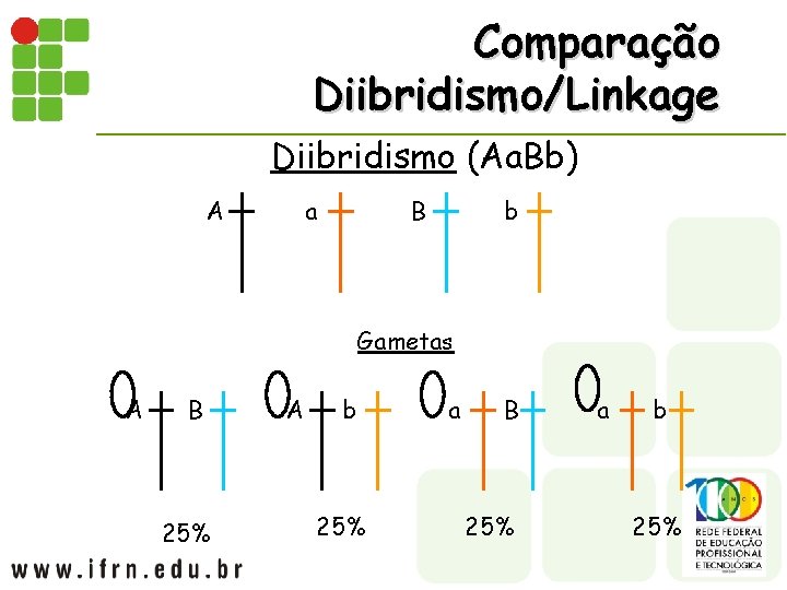 Comparação Diibridismo/Linkage Diibridismo (Aa. Bb) A a B b Gametas A B 25% A