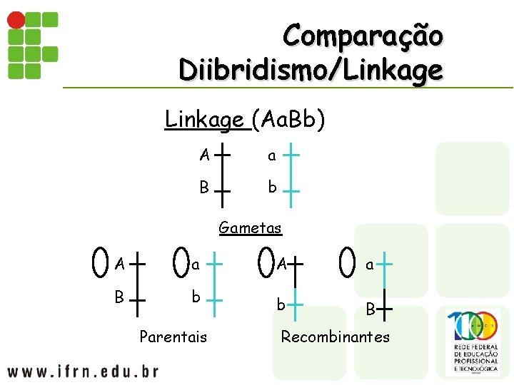Comparação Diibridismo/Linkage (Aa. Bb) A a B b Gametas A a B b Parentais