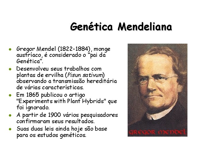 Genética Mendeliana l l l Gregor Mendel (1822 -1884), monge austríaco, é considerado o