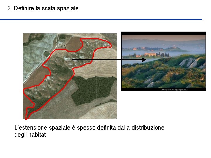 2. Definire la scala spaziale L’estensione spaziale è spesso definita dalla distribuzione degli habitat