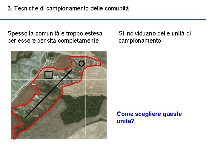 3. Tecniche di campionamento delle comunità Spesso la comunità è troppo estesa per essere