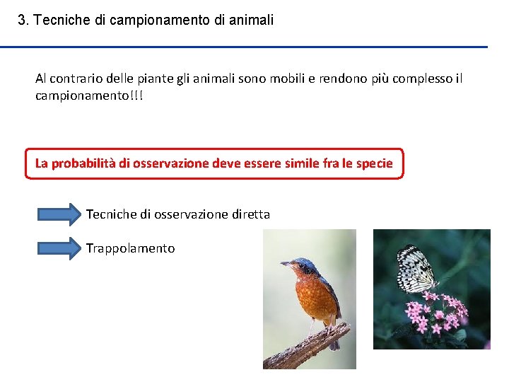 3. Tecniche di campionamento di animali Al contrario delle piante gli animali sono mobili