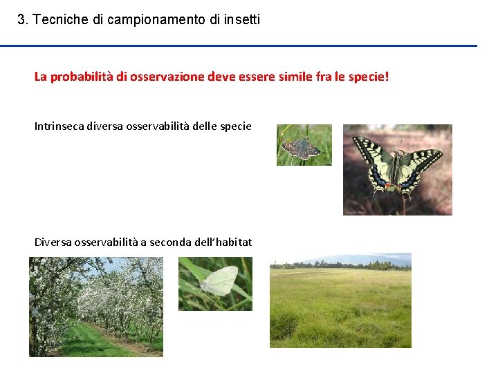 3. Tecniche di campionamento di insetti La probabilità di osservazione deve essere simile fra