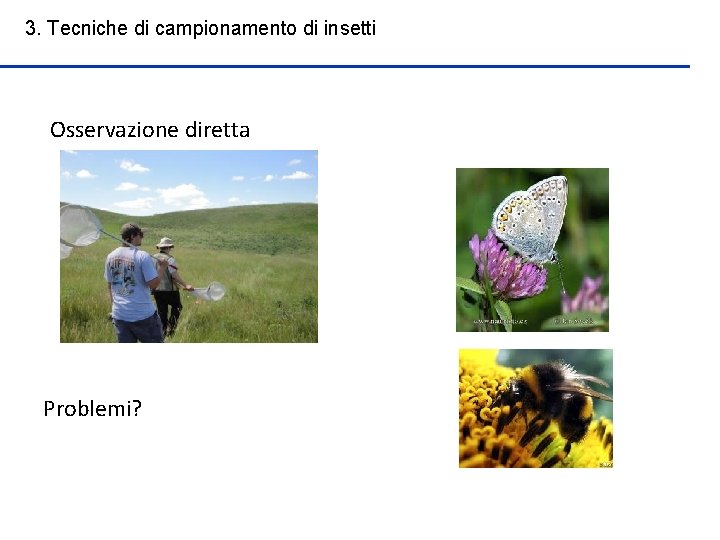 3. Tecniche di campionamento di insetti Osservazione diretta Problemi? 