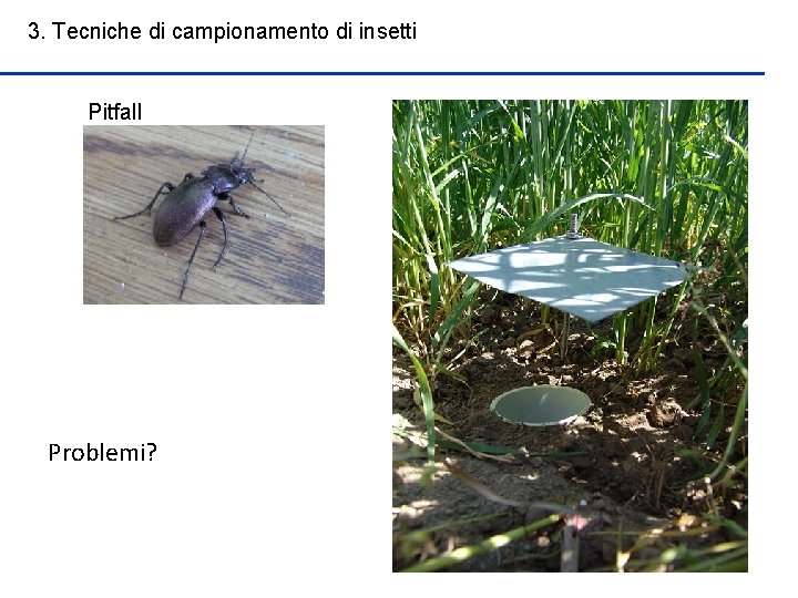 3. Tecniche di campionamento di insetti Pitfall Problemi? 