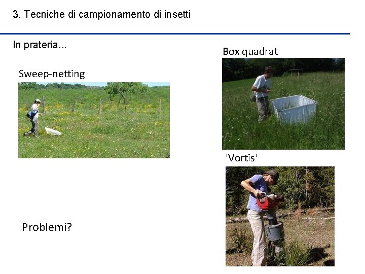 3. Tecniche di campionamento di insetti In prateria. . . Box quadrat Sweep-netting 'Vortis'