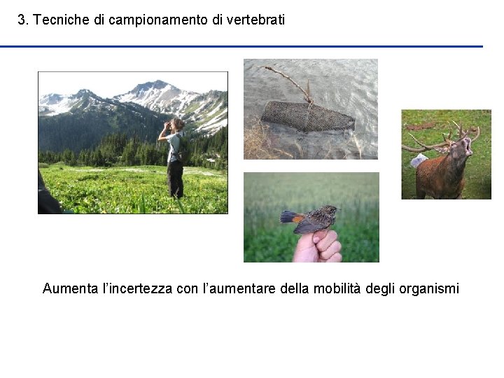 3. Tecniche di campionamento di vertebrati Aumenta l’incertezza con l’aumentare della mobilità degli organismi