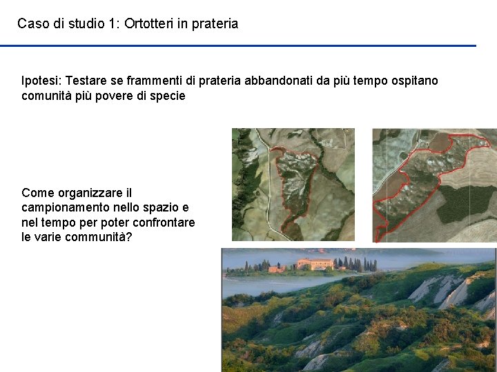 Caso di studio 1: Ortotteri in prateria Ipotesi: Testare se frammenti di prateria abbandonati