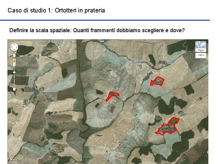 Caso di studio 1: Ortotteri in prateria Definire la scala spaziale: Quanti frammenti dobbiamo