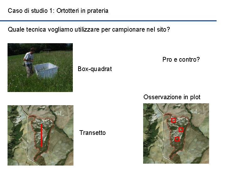 Caso di studio 1: Ortotteri in prateria Quale tecnica vogliamo utilizzare per campionare nel