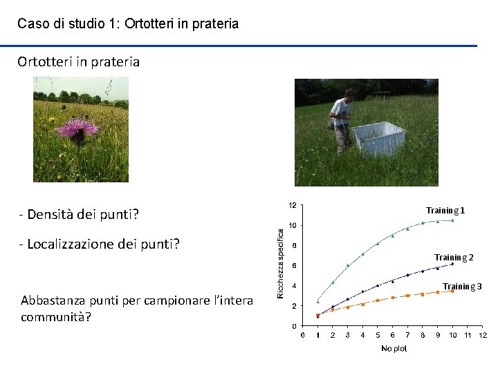 Caso di studio 1: Ortotteri in prateria - Densità dei punti? - Localizzazione dei