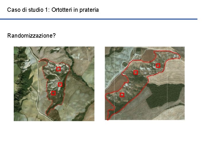 Caso di studio 1: Ortotteri in prateria Randomizzazione? 