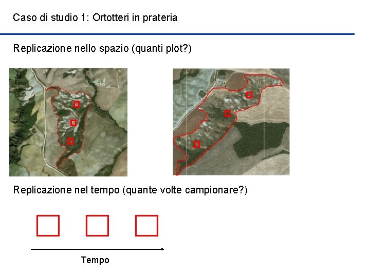 Caso di studio 1: Ortotteri in prateria Replicazione nello spazio (quanti plot? ) Replicazione