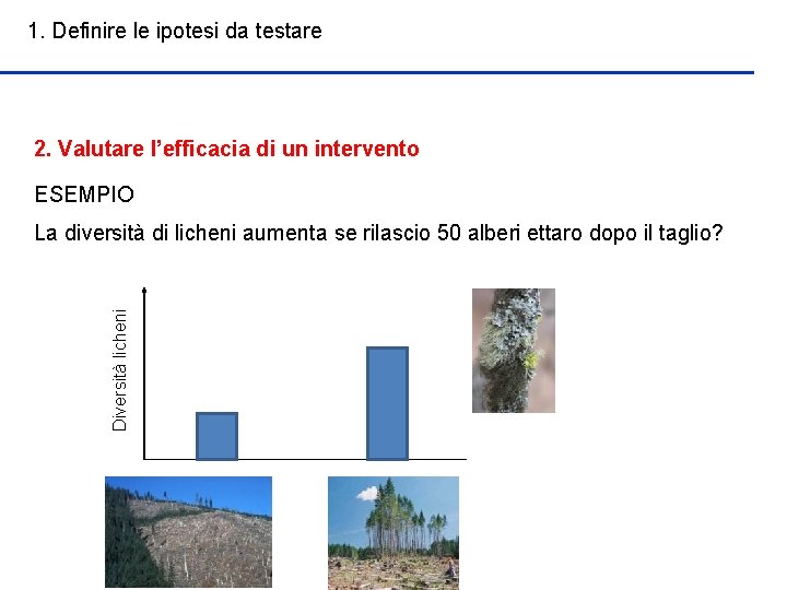 1. Definire le ipotesi da testare 2. Valutare l’efficacia di un intervento ESEMPIO Diversità