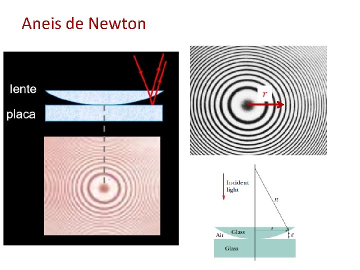 Aneis de Newton 