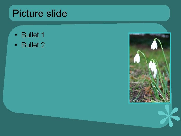 Picture slide • Bullet 1 • Bullet 2 