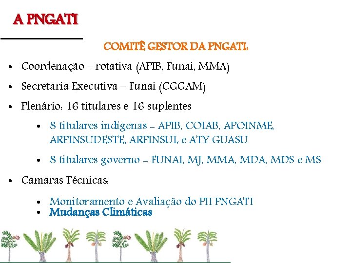 A PNGATI COMITÊ GESTOR DA PNGATI: • Coordenação – rotativa (APIB, Funai, MMA) •