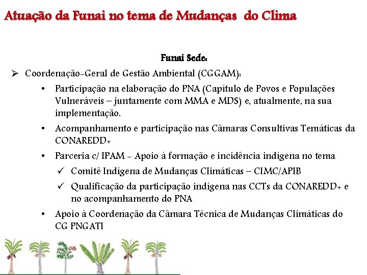 Atuação da Funai no tema de Mudanças do Clima Funai Sede: Ø Coordenação-Geral de