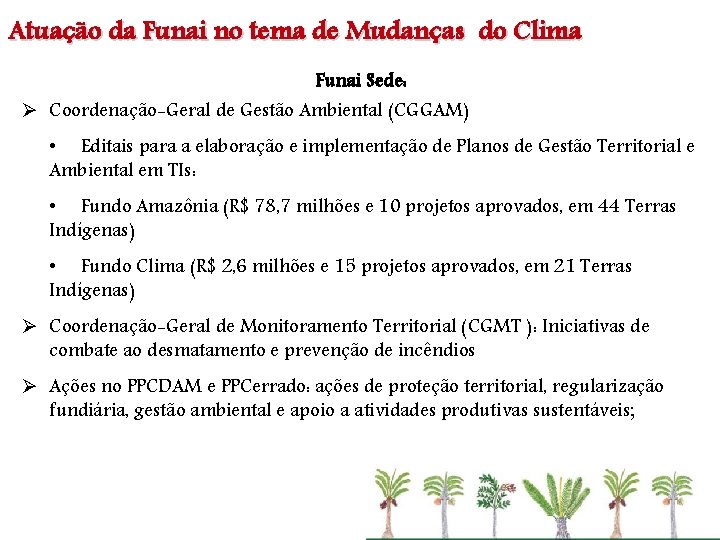 Atuação da Funai no tema de Mudanças do Clima Funai Sede: Ø Coordenação-Geral de