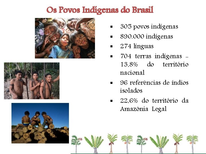 Os Povos Indígenas do Brasil § § § 305 povos indígenas 890. 000 indígenas