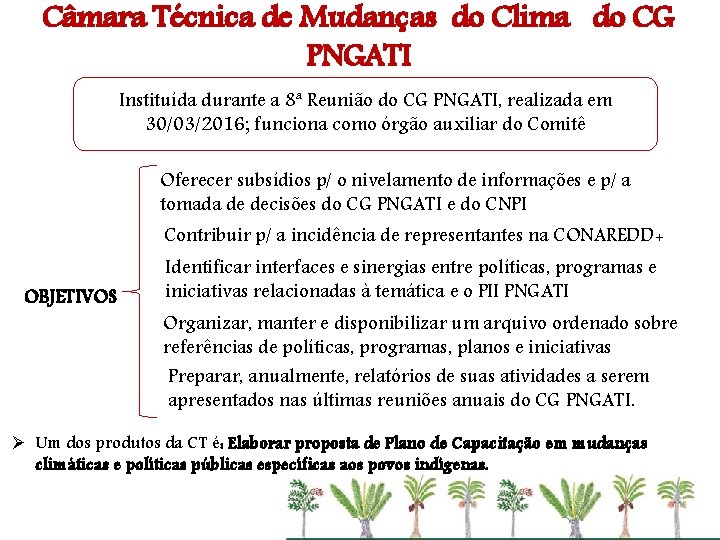 Câmara Técnica de Mudanças do Clima do CG PNGATI Instituída durante a 8ª Reunião