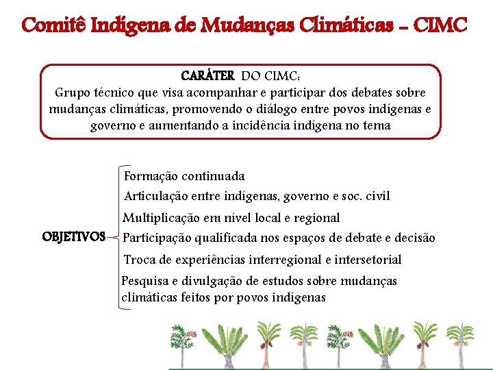 Comitê Indígena de Mudanças Climáticas - CIMC CARÁTER DO CIMC: Grupo técnico que visa