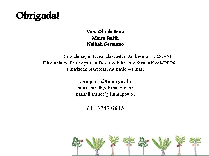 Obrigada! Vera Olinda Sena Maira Smith Nathali Germano Coordenação-Geral de Gestão Ambiental Coordenação Geral