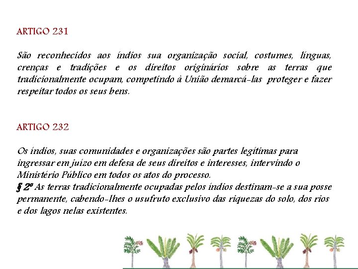 ARTIGO 231 São reconhecidos aos índios sua organização social, costumes, línguas, crenças e tradições