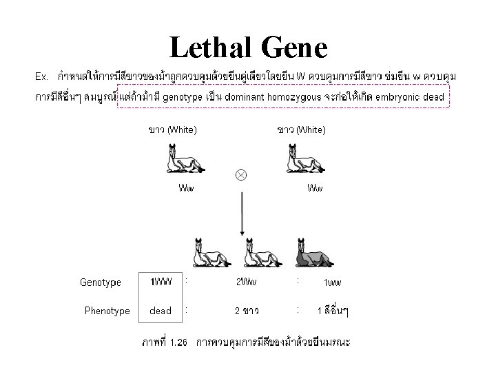 Lethal Gene 