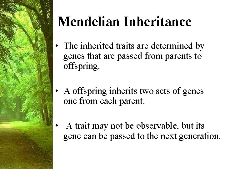 Mendelian Inheritance • The inherited traits are determined by genes that are passed from