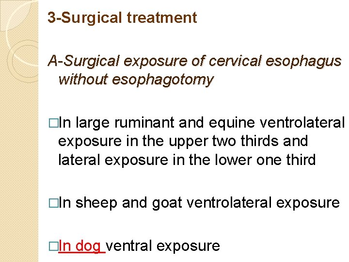 3 -Surgical treatment A-Surgical exposure of cervical esophagus without esophagotomy �In large ruminant and