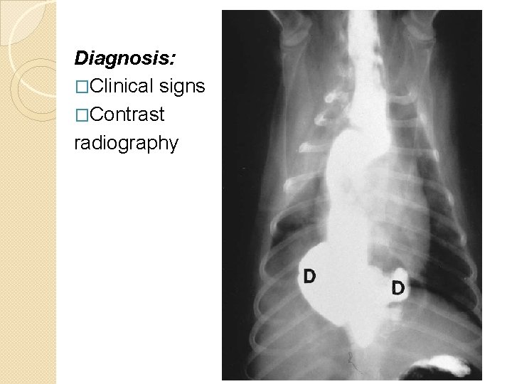 Diagnosis: �Clinical signs �Contrast radiography 
