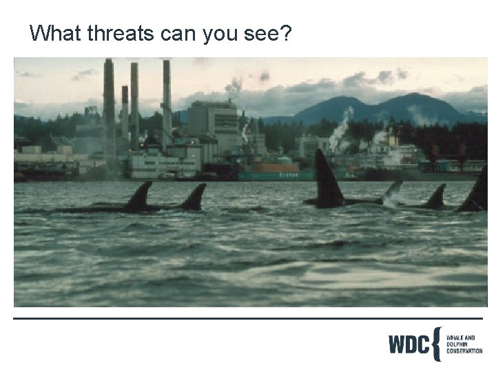 What threats can you see? 