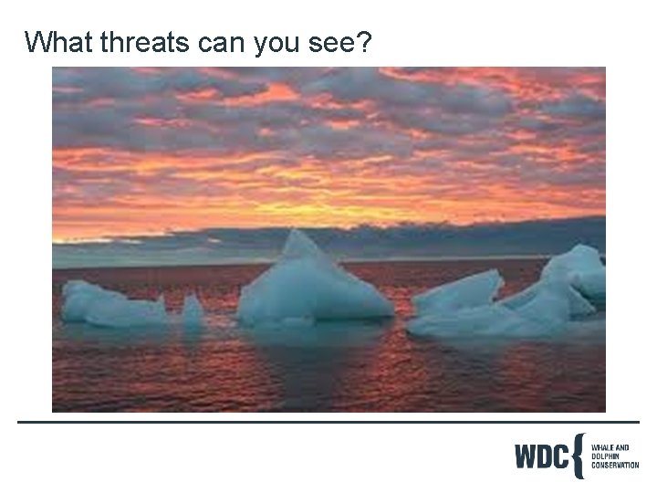 What threats can you see? 