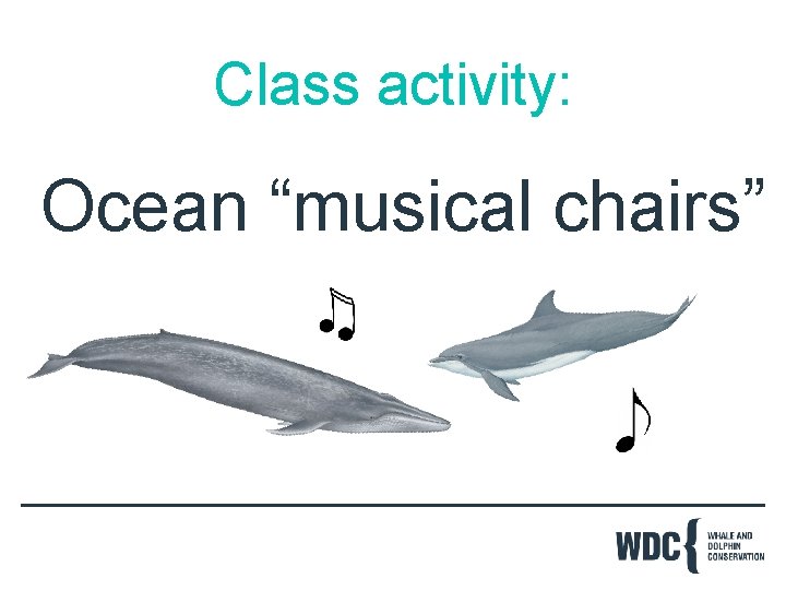 Class activity: Ocean “musical chairs” 