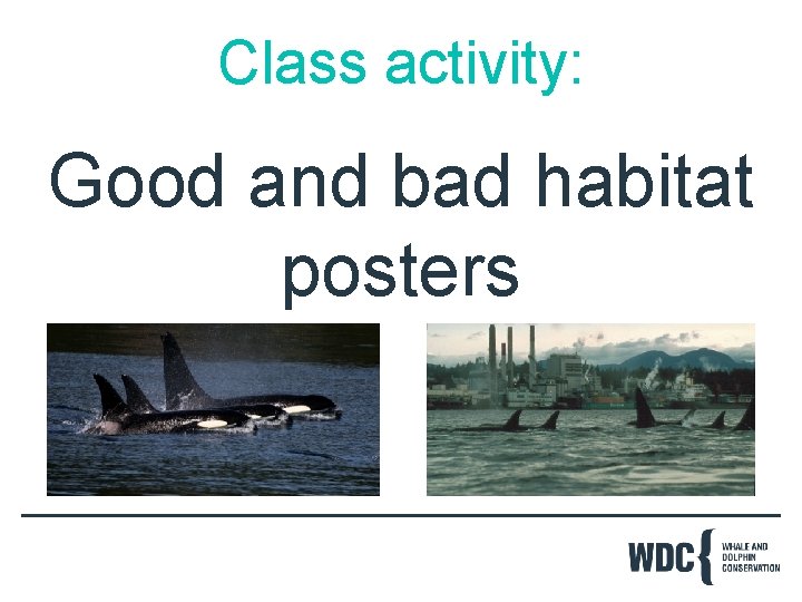 Class activity: Good and bad habitat posters 
