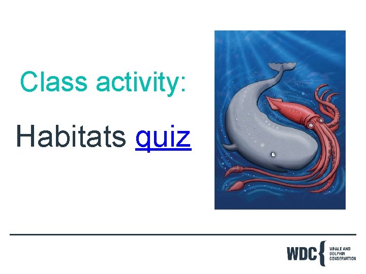 Class activity: Habitats quiz 