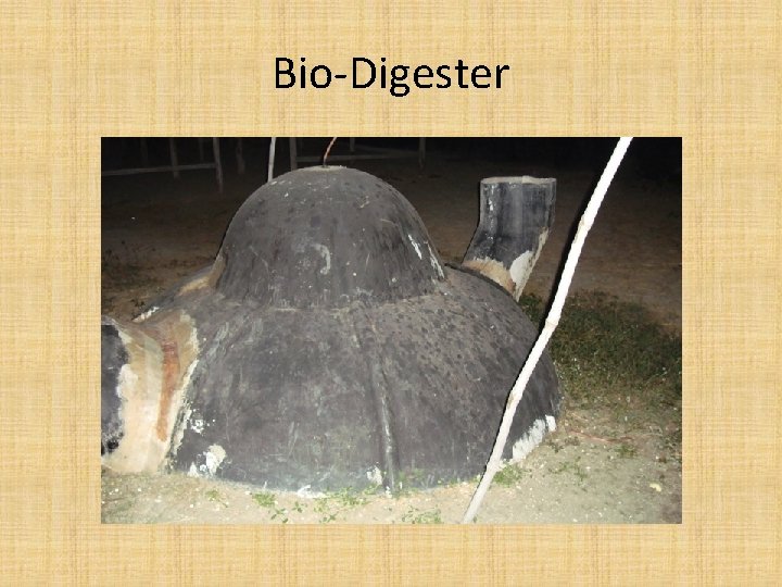 Bio-Digester 