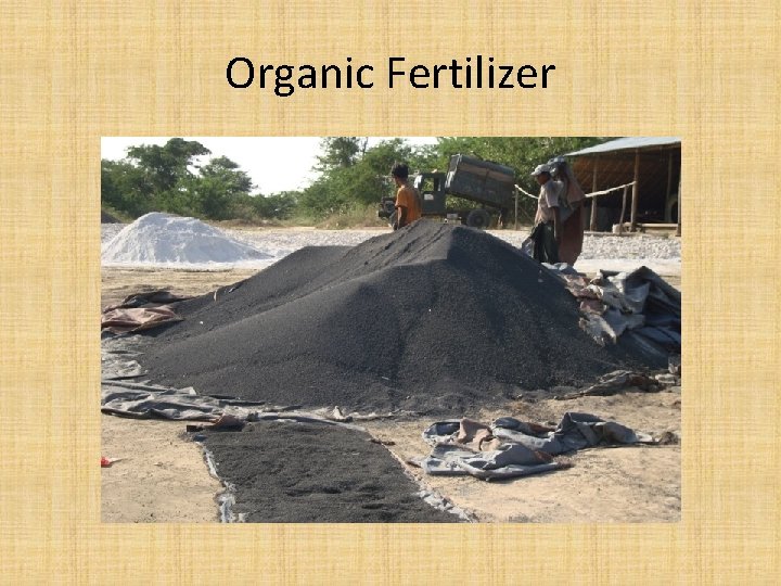 Organic Fertilizer 