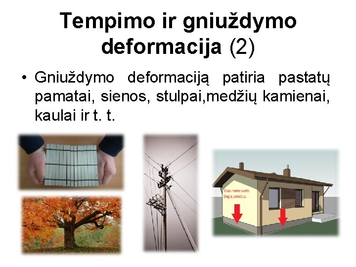 Tempimo ir gniuždymo deformacija (2) • Gniuždymo deformaciją patiria pastatų pamatai, sienos, stulpai, medžių