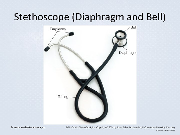 Stethoscope (Diaphragm and Bell) © Martin Kubát/Shutter. Stock, Inc. Stethoscope (Diaphragm and Bell) © Martin Kubát/Shutter. Stock, Inc.