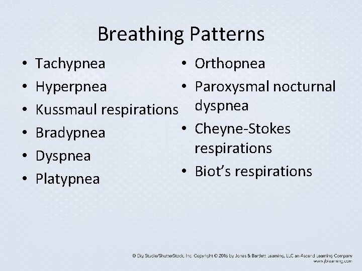 Breathing Patterns • • Tachypnea • Hyperpnea Kussmaul respirations • Bradypnea Dyspnea • Platypnea Breathing Patterns • • Tachypnea • Hyperpnea Kussmaul respirations • Bradypnea Dyspnea • Platypnea