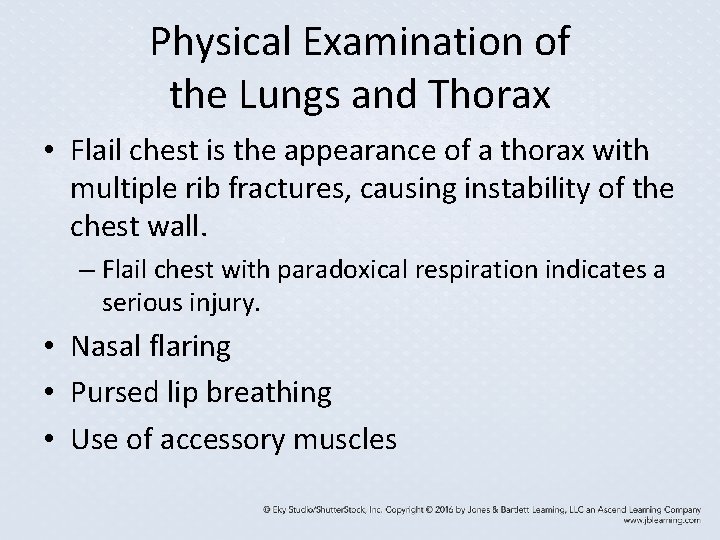 Physical Examination of the Lungs and Thorax • Flail chest is the appearance of Physical Examination of the Lungs and Thorax • Flail chest is the appearance of