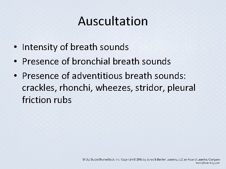 Auscultation • Intensity of breath sounds • Presence of bronchial breath sounds • Presence Auscultation • Intensity of breath sounds • Presence of bronchial breath sounds • Presence