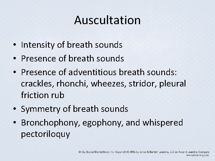 Auscultation • Intensity of breath sounds • Presence of adventitious breath sounds: crackles, rhonchi, Auscultation • Intensity of breath sounds • Presence of adventitious breath sounds: crackles, rhonchi,