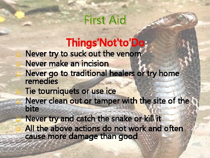 First Aid Things'Not'to'Do: q q q q Never try to suck out the venom