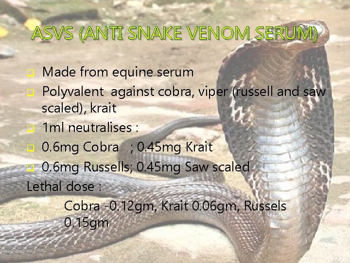 ASVS (ANTI SNAKE VENOM SERUM) Made from equine serum q Polyvalent against cobra, viper