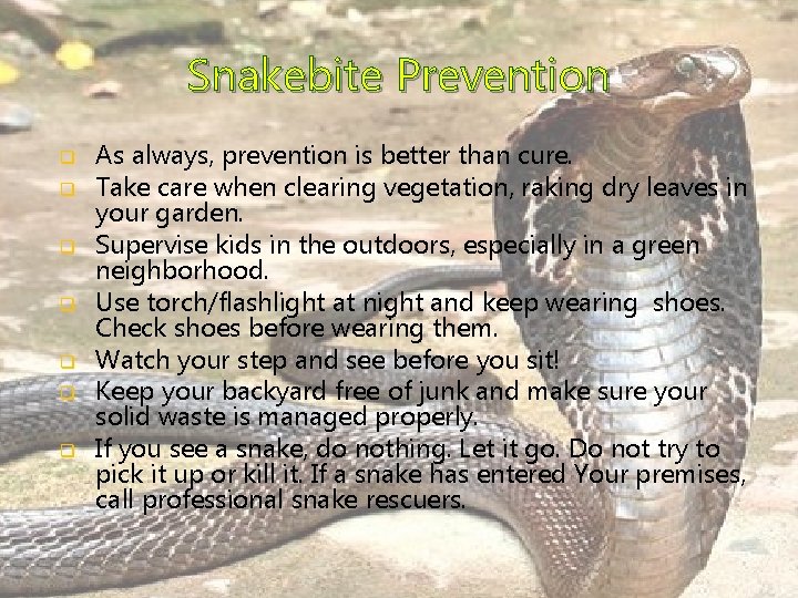 Snakebite Prevention q q q q As always, prevention is better than cure. Take