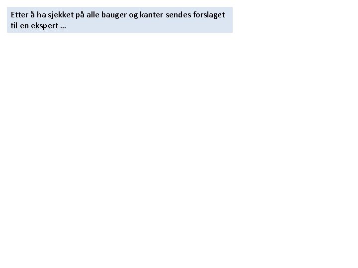 Etter å ha sjekket på alle bauger og kanter sendes forslaget til en ekspert